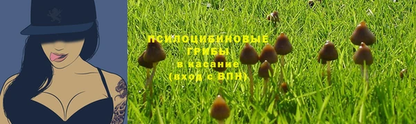 первитин Медвежьегорск