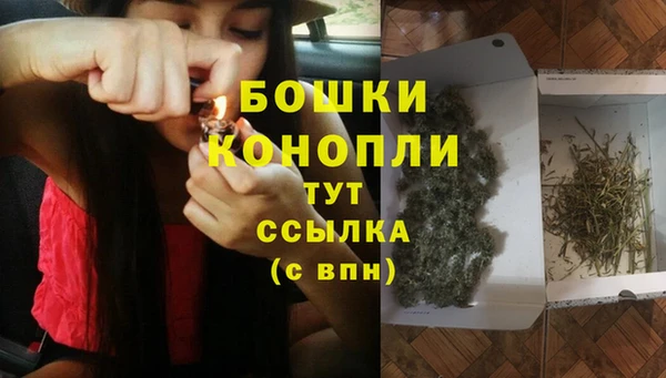ECSTASY Медногорск