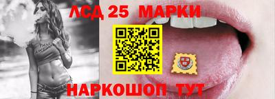 гидропоника Гатчина