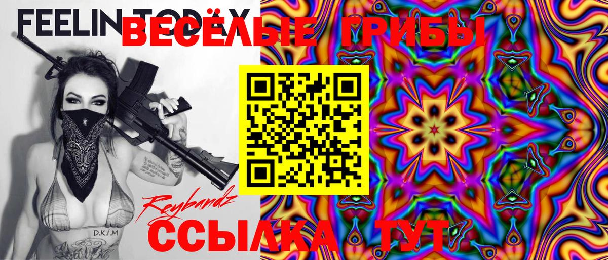 Галлюциногенные грибы прущие грибы  Псилоцибиновые грибы GOLDEN TEACHER  Елизово 