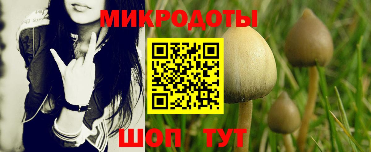 Псилоцибиновые грибы Magic Shrooms Елизово