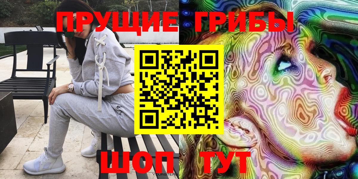 магазин продажи наркотиков  Вход с VPN  Елизово  Псилоцибиновые грибы GOLDEN TEACHER 