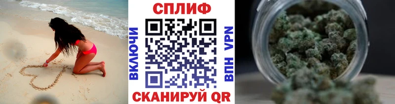 Бошки Шишки гибрид  где купить наркоту  ОМГ ОМГ как войти  Елизово 